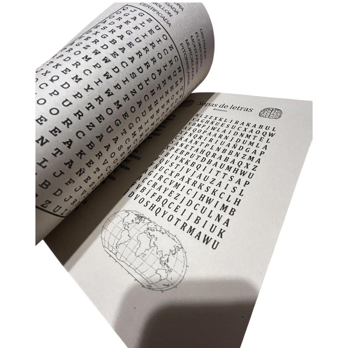 Sopa de letras KIOSTRO por dentro — grilla y lista de palabras