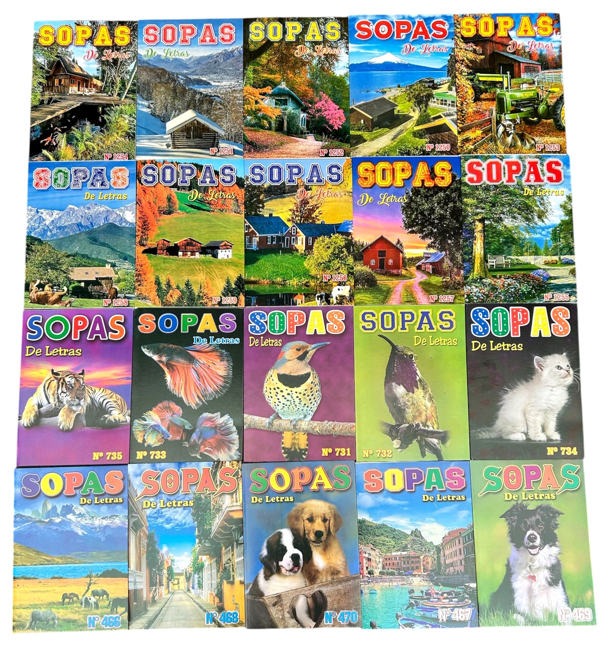 Pack 20 Sopas de Letras para Adultos — 20 revistas sin repetir · la colección completa — KIOSTRO Chile